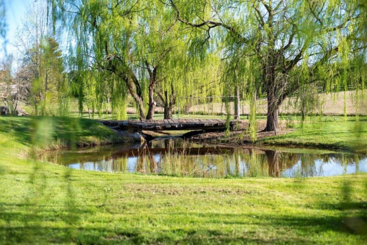 Montfort Manor Traralgon Extérieur photo